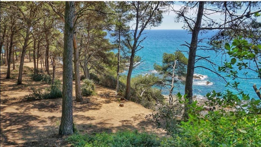 Seahomes Vacations, Beach&Pool, In Fenals Beach Lloret de Mar Luaran gambar